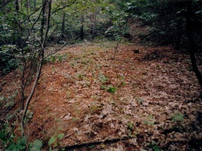 고산동 절터 전경 썸네일 이미지