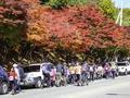 제18회 팔공산 단풍축제 단풍길 걷기대회 썸네일 이미지