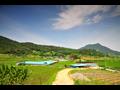 반월리[풍산면] 월명 마을 전경 썸네일 이미지
