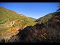 현수교와 강천산 계곡 썸네일 이미지