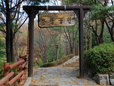 은행공원 산책로 입구 썸네일 이미지