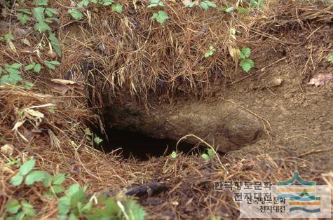 대표시청각 이미지