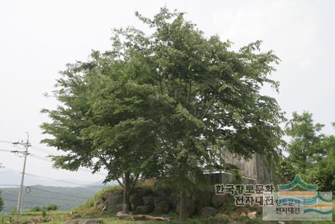 대표시청각 이미지