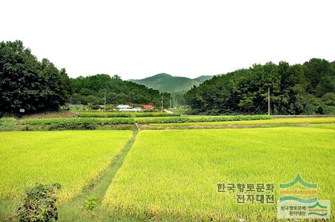 대표시청각 이미지