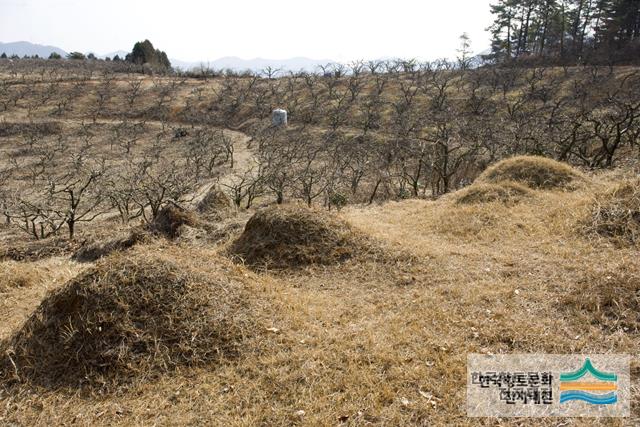 대표시청각 이미지