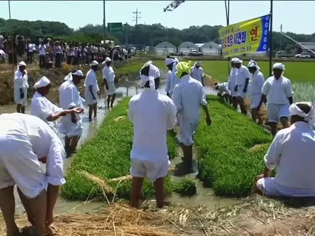 진천군 용몽리 농요보존회 썸네일 이미지