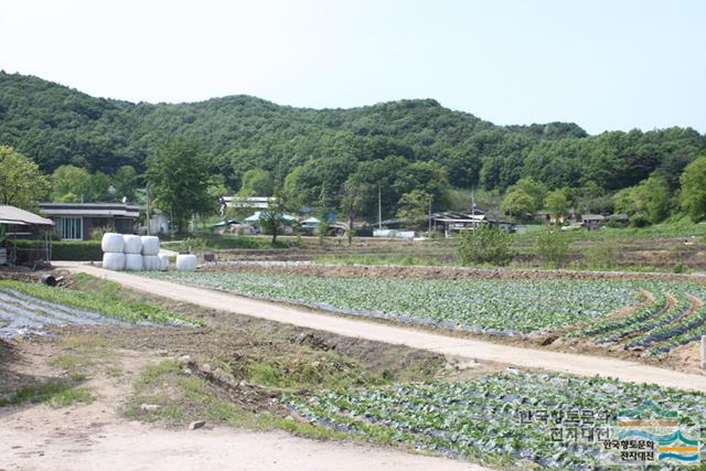 대표시청각 이미지