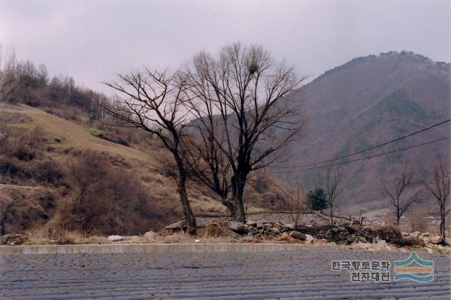 대표시청각 이미지