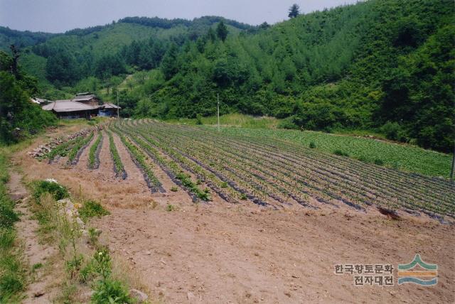 대표시청각 이미지