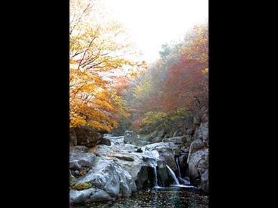 단천계곡의 가을 썸네일 이미지