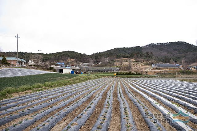 대표시청각 이미지